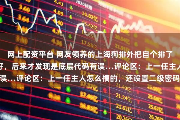 网上配资平台 网友领养的上海狗排外把自个排了出去，哄了四年都没哄好，后来才发现是底层代码有误…评论区：上一任主人怎么搞的，还设置二级密码…
